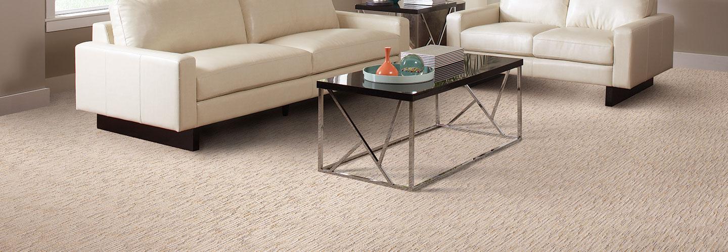 SAND DUNE-ROYAL STAINMASTER_FTG820